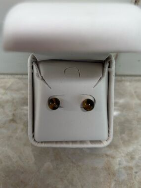 Tiger's Eye Stud Earrings with 14k Gold Posts